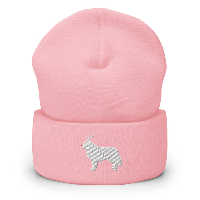 "The Red-Nosed Pyr" Beanie