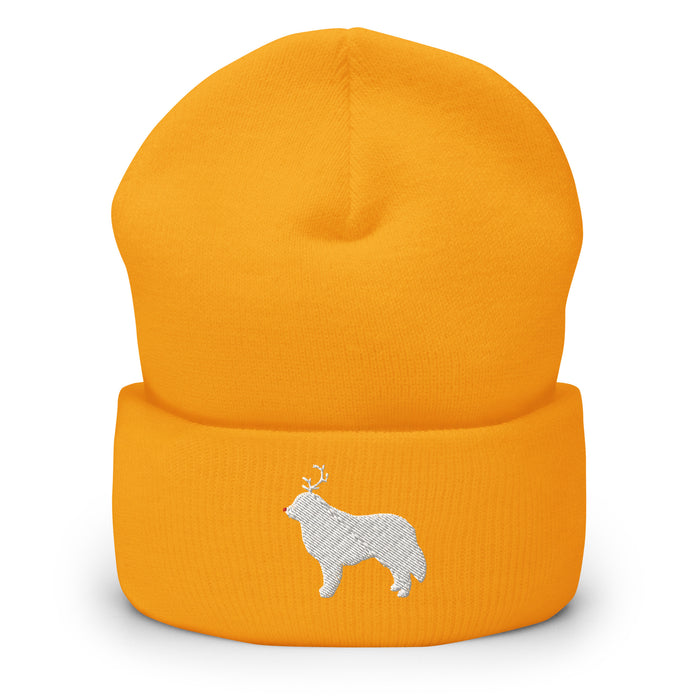 "The Red-Nosed Pyr" Beanie