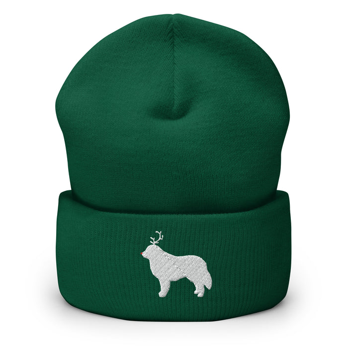 "The Red-Nosed Pyr" Beanie