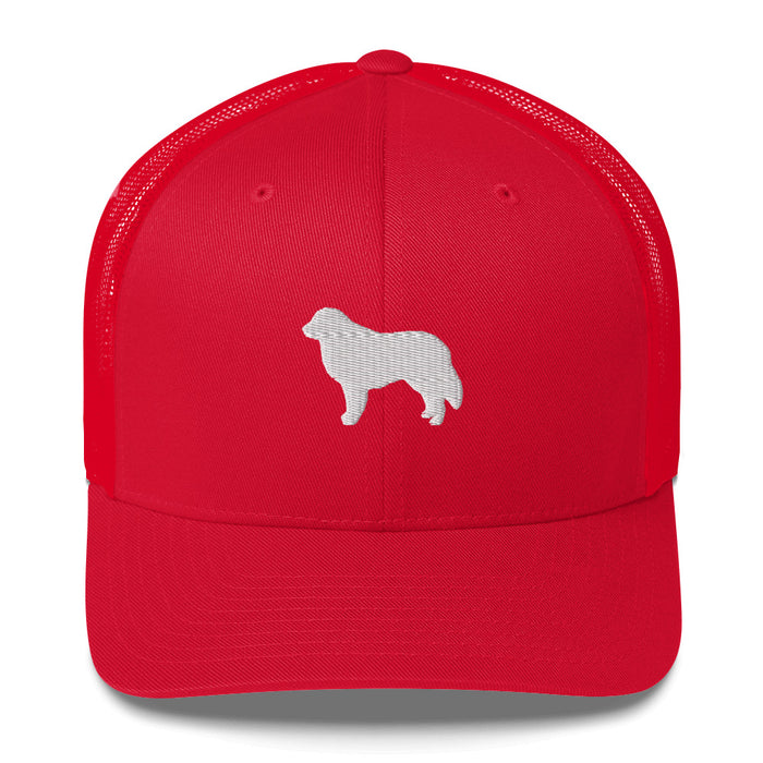 Signature Mesh Cap