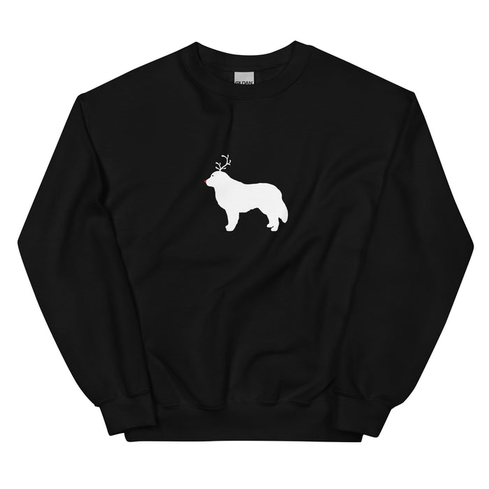 "The Red-Nosed Pyr" Sweatshirt