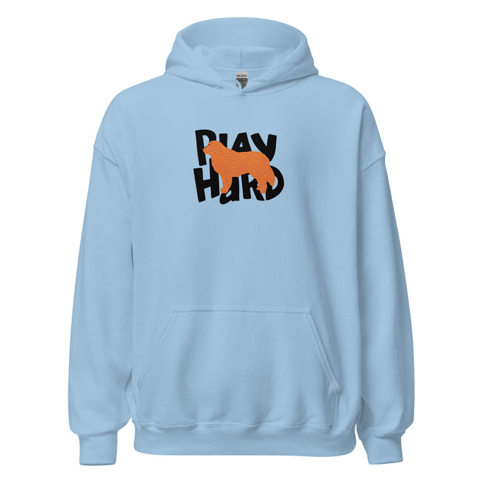 Play Hard Hoodie