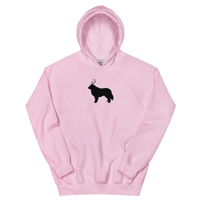 "The Red-Nosed Pyr" Hoodie