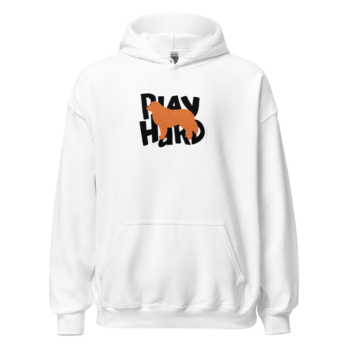 Play Hard Hoodie