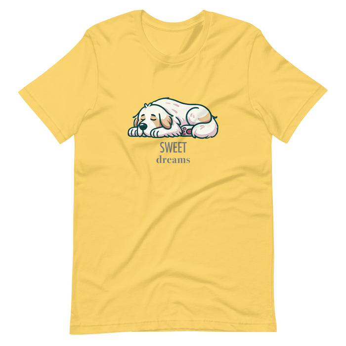 Dreams ADULT Tee