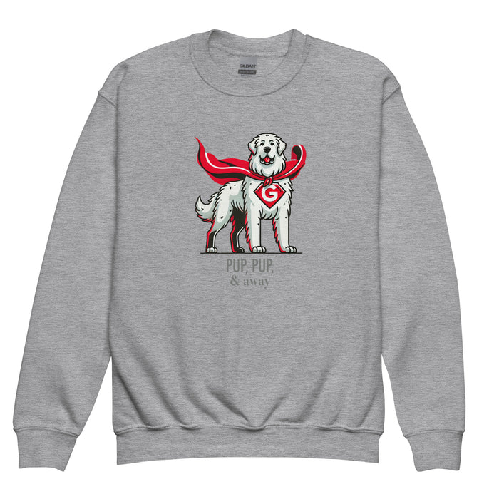 Superhero Youth Sweatshirt