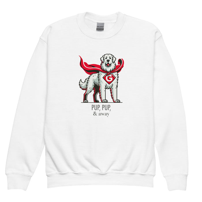 Superhero Youth Sweatshirt